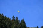 Whiler fait du parapente